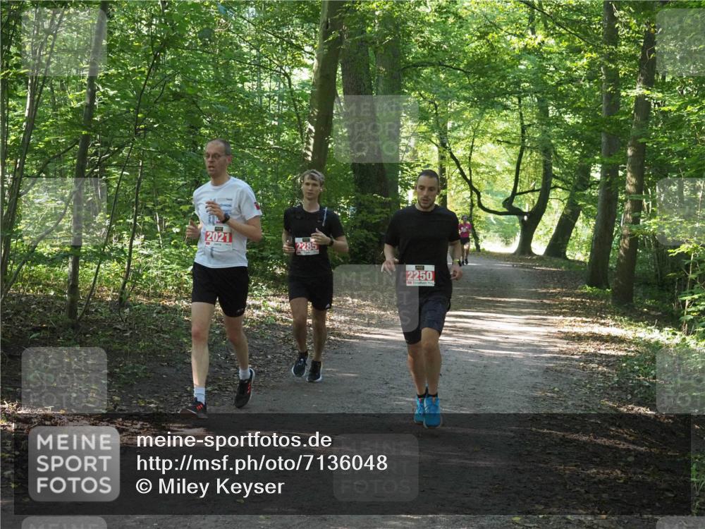 22.09.2024 - 32. Volkslauf durch das schöne Alstertal Miley Keyser http://msf.ph/oto/7136048 22.09.2024 10:42:56 Laufen 2021, 2285, 2250 meine-sportfotos.de