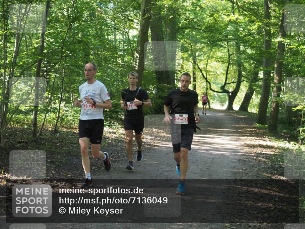 22.09.2024 - 32. Volkslauf durch das schöne Alstertal Miley Keyser http://msf.ph/oto/7136049 22.09.2024 10:42:56 Laufen 202, 2285, 2250 meine-sportfotos.de