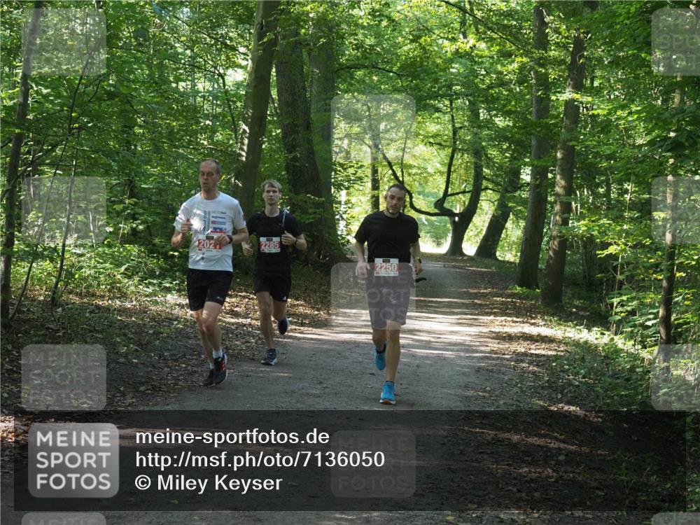 22.09.2024 - 32. Volkslauf durch das schöne Alstertal Miley Keyser http://msf.ph/oto/7136050 22.09.2024 10:42:56 Laufen 202, 2285, 2250 meine-sportfotos.de