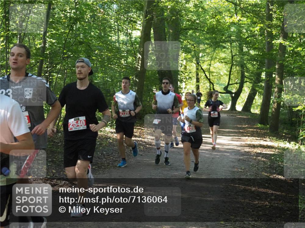 22.09.2024 - 32. Volkslauf durch das schöne Alstertal Miley Keyser http://msf.ph/oto/7136064 22.09.2024 10:42:44 Laufen 23, 2540, 2129, 2128, 2479 meine-sportfotos.de