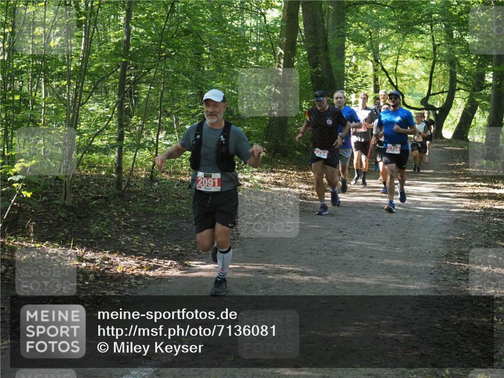 22.09.2024 - 32. Volkslauf durch das schöne Alstertal Miley Keyser http://msf.ph/oto/7136081 22.09.2024 10:42:40 Laufen 2091, 2294, 2128 meine-sportfotos.de