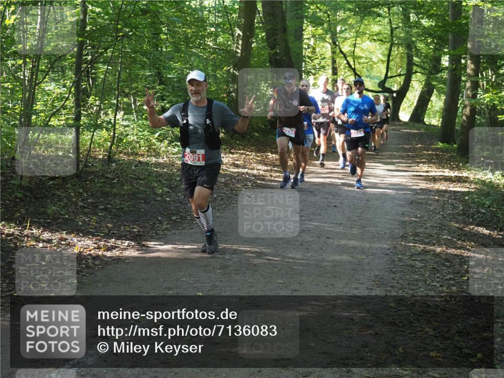 22.09.2024 - 32. Volkslauf durch das schöne Alstertal Miley Keyser http://msf.ph/oto/7136083 22.09.2024 10:42:40 Laufen 2091, 294, 2384 meine-sportfotos.de