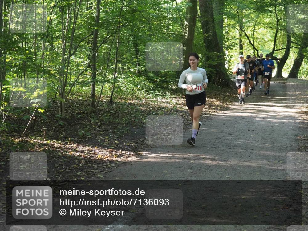 22.09.2024 - 32. Volkslauf durch das schöne Alstertal Miley Keyser http://msf.ph/oto/7136093 22.09.2024 10:42:36 Laufen  meine-sportfotos.de