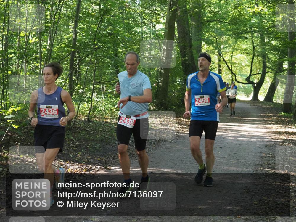 22.09.2024 - 32. Volkslauf durch das schöne Alstertal Miley Keyser http://msf.ph/oto/7136097 22.09.2024 10:42:31 Laufen 2436, 2438, 2455 meine-sportfotos.de