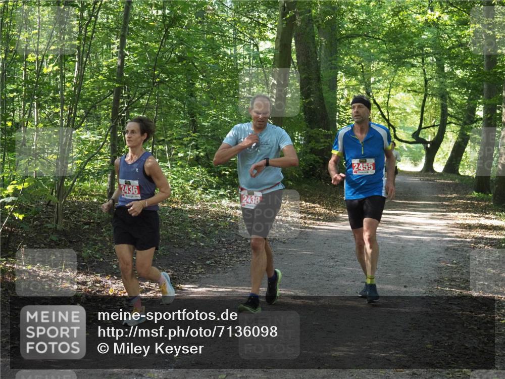 22.09.2024 - 32. Volkslauf durch das schöne Alstertal Miley Keyser http://msf.ph/oto/7136098 22.09.2024 10:42:31 Laufen 2436, 2438, 2455 meine-sportfotos.de