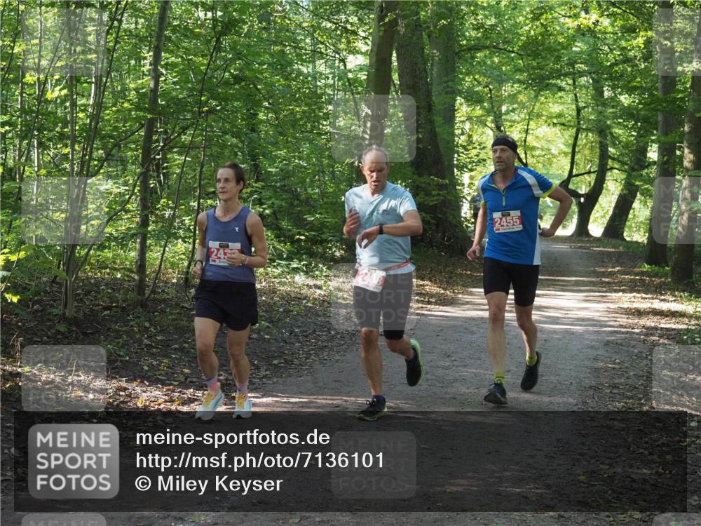 22.09.2024 - 32. Volkslauf durch das schöne Alstertal Miley Keyser http://msf.ph/oto/7136101 22.09.2024 10:42:30 Laufen 243, 2455 meine-sportfotos.de