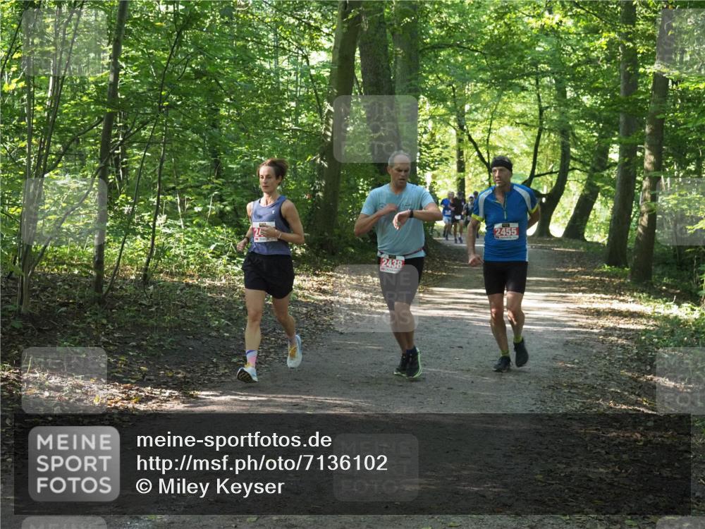 22.09.2024 - 32. Volkslauf durch das schöne Alstertal Miley Keyser http://msf.ph/oto/7136102 22.09.2024 10:42:30 Laufen 2438, 2455 meine-sportfotos.de