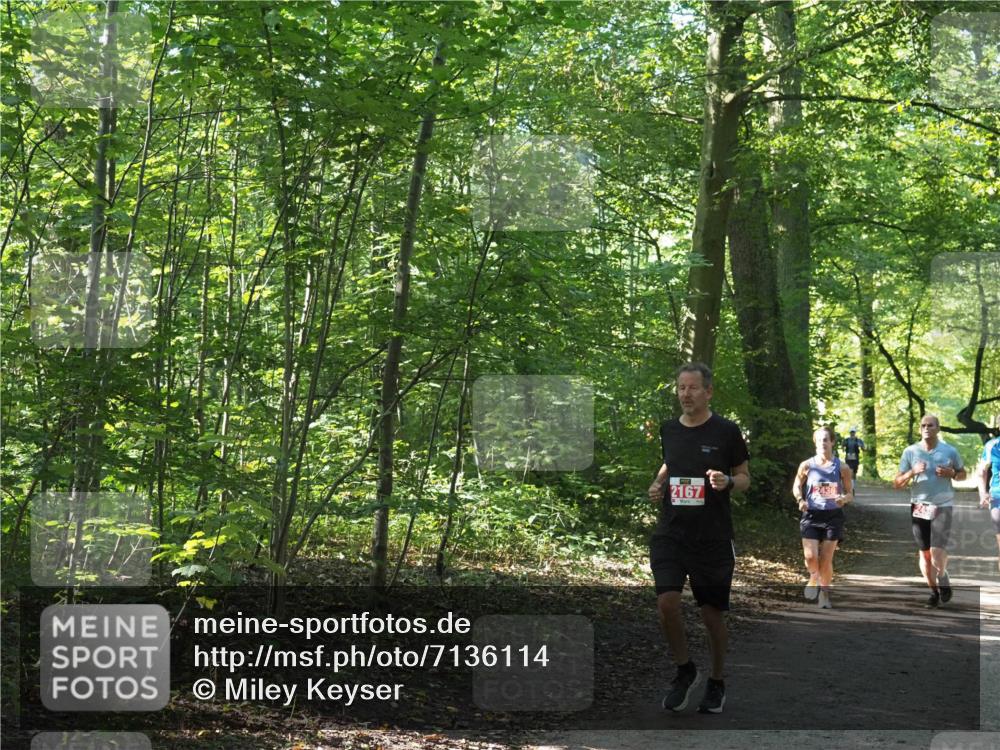 22.09.2024 - 32. Volkslauf durch das schöne Alstertal Miley Keyser http://msf.ph/oto/7136114 22.09.2024 10:42:28 Laufen 2167 meine-sportfotos.de
