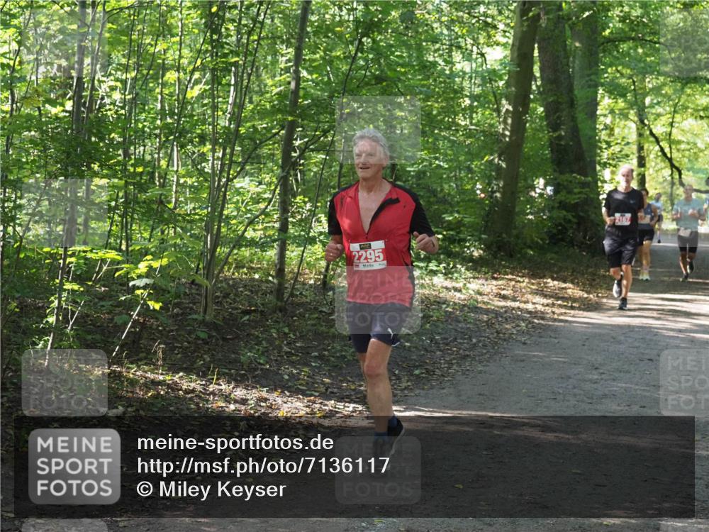 22.09.2024 - 32. Volkslauf durch das schöne Alstertal Miley Keyser http://msf.ph/oto/7136117 22.09.2024 10:42:25 Laufen 2295, 2167 meine-sportfotos.de