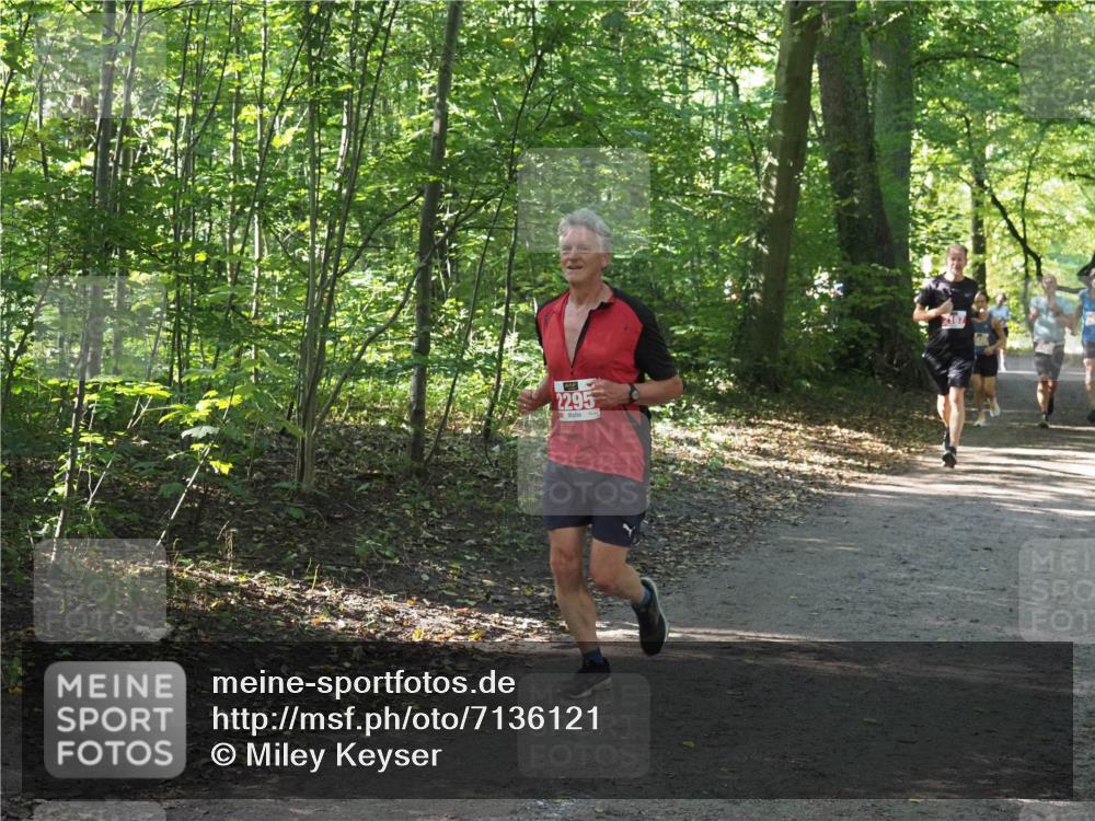 22.09.2024 - 32. Volkslauf durch das schöne Alstertal Miley Keyser http://msf.ph/oto/7136121 22.09.2024 10:42:25 Laufen 2295, 2167 meine-sportfotos.de