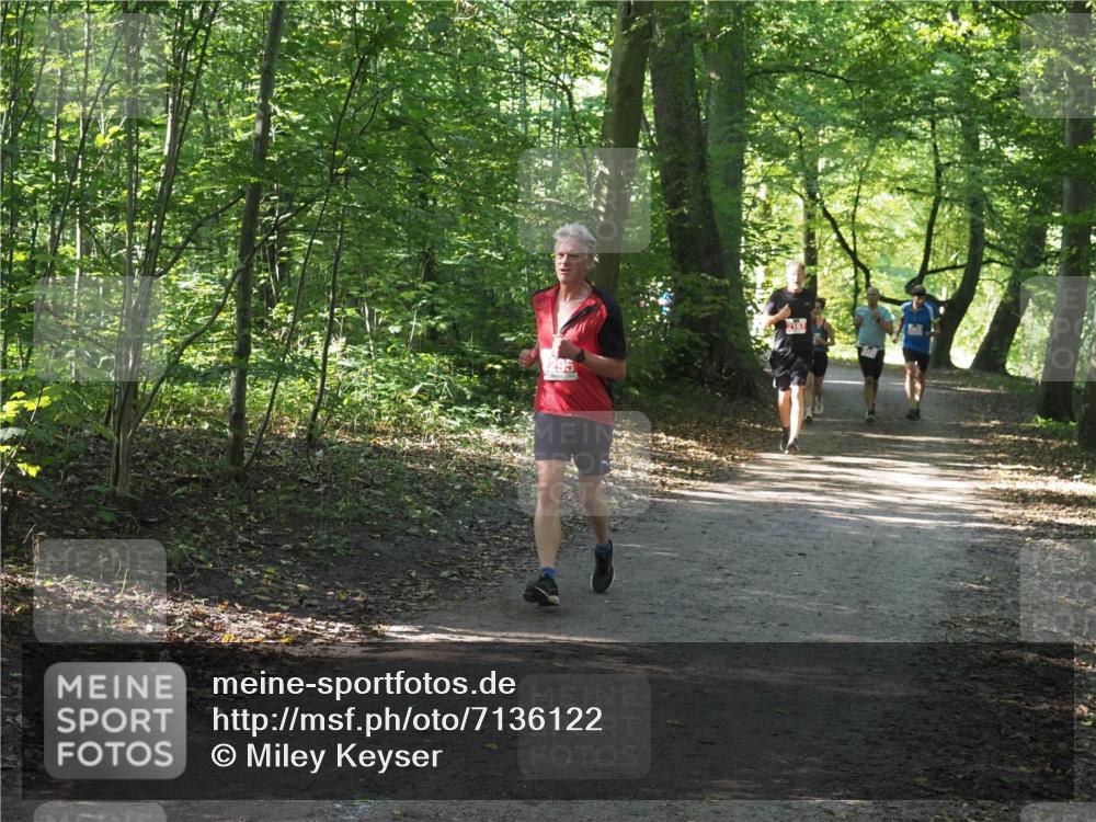 22.09.2024 - 32. Volkslauf durch das schöne Alstertal Miley Keyser http://msf.ph/oto/7136122 22.09.2024 10:42:24 Laufen 295, 2167 meine-sportfotos.de