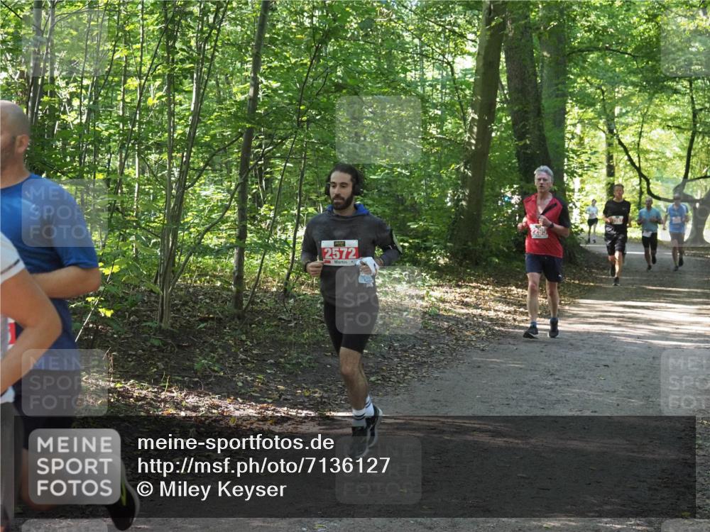 22.09.2024 - 32. Volkslauf durch das schöne Alstertal Miley Keyser http://msf.ph/oto/7136127 22.09.2024 10:42:23 Laufen 2572, 2295 meine-sportfotos.de