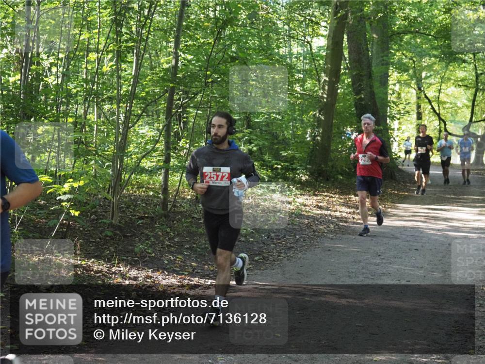 22.09.2024 - 32. Volkslauf durch das schöne Alstertal Miley Keyser http://msf.ph/oto/7136128 22.09.2024 10:42:23 Laufen 2572, 2295 meine-sportfotos.de