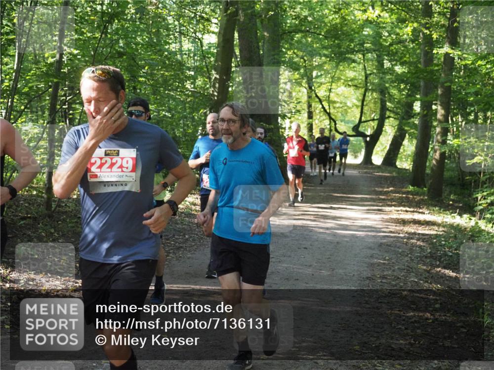 22.09.2024 - 32. Volkslauf durch das schöne Alstertal Miley Keyser http://msf.ph/oto/7136131 22.09.2024 10:42:21 Laufen 2229 meine-sportfotos.de