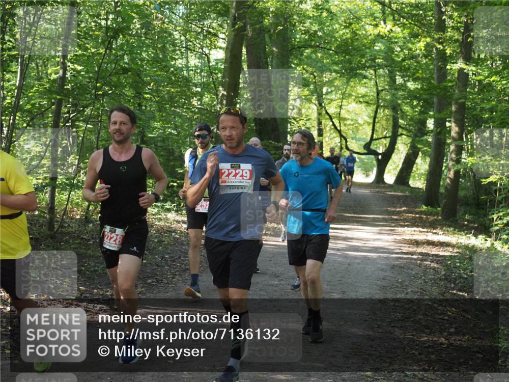 22.09.2024 - 32. Volkslauf durch das schöne Alstertal Miley Keyser http://msf.ph/oto/7136132 22.09.2024 10:42:20 Laufen 2228, 2229 meine-sportfotos.de