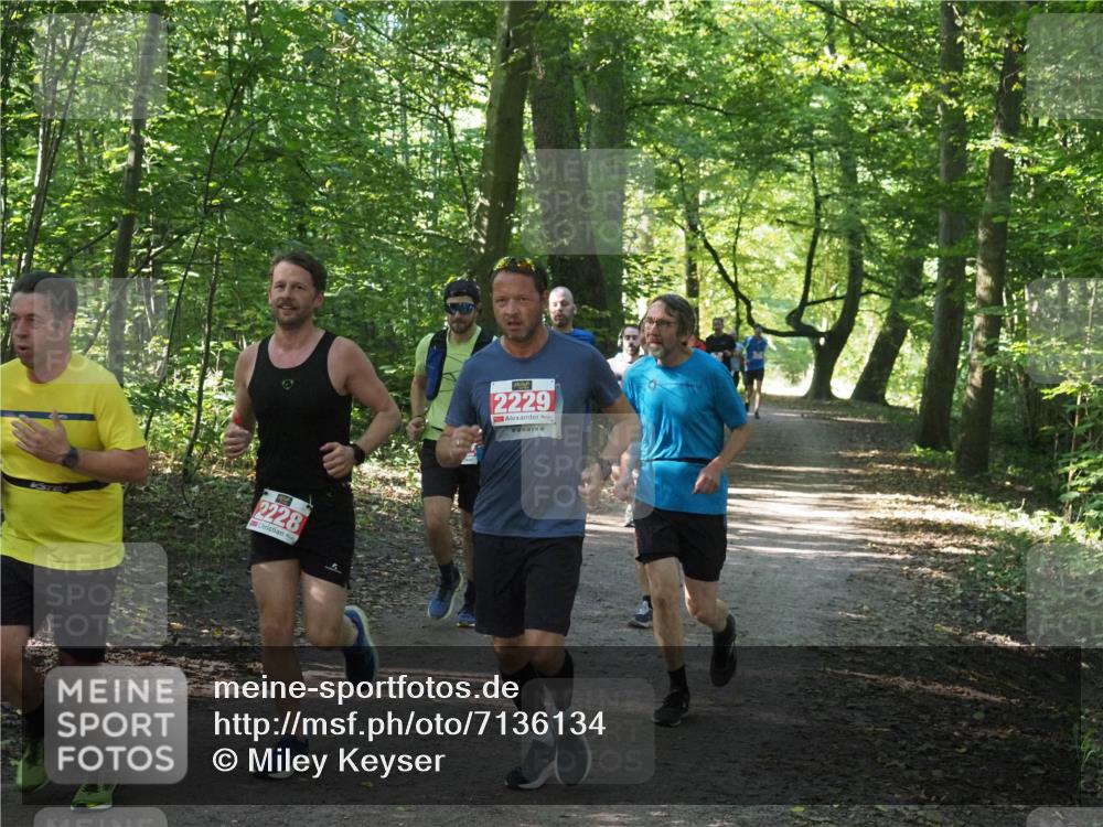 22.09.2024 - 32. Volkslauf durch das schöne Alstertal Miley Keyser http://msf.ph/oto/7136134 22.09.2024 10:42:20 Laufen 2228, 2229 meine-sportfotos.de