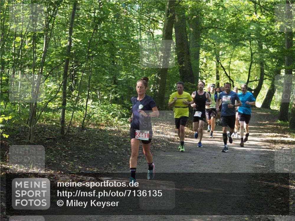 22.09.2024 - 32. Volkslauf durch das schöne Alstertal Miley Keyser http://msf.ph/oto/7136135 22.09.2024 10:42:18 Laufen 2441, 2229 meine-sportfotos.de