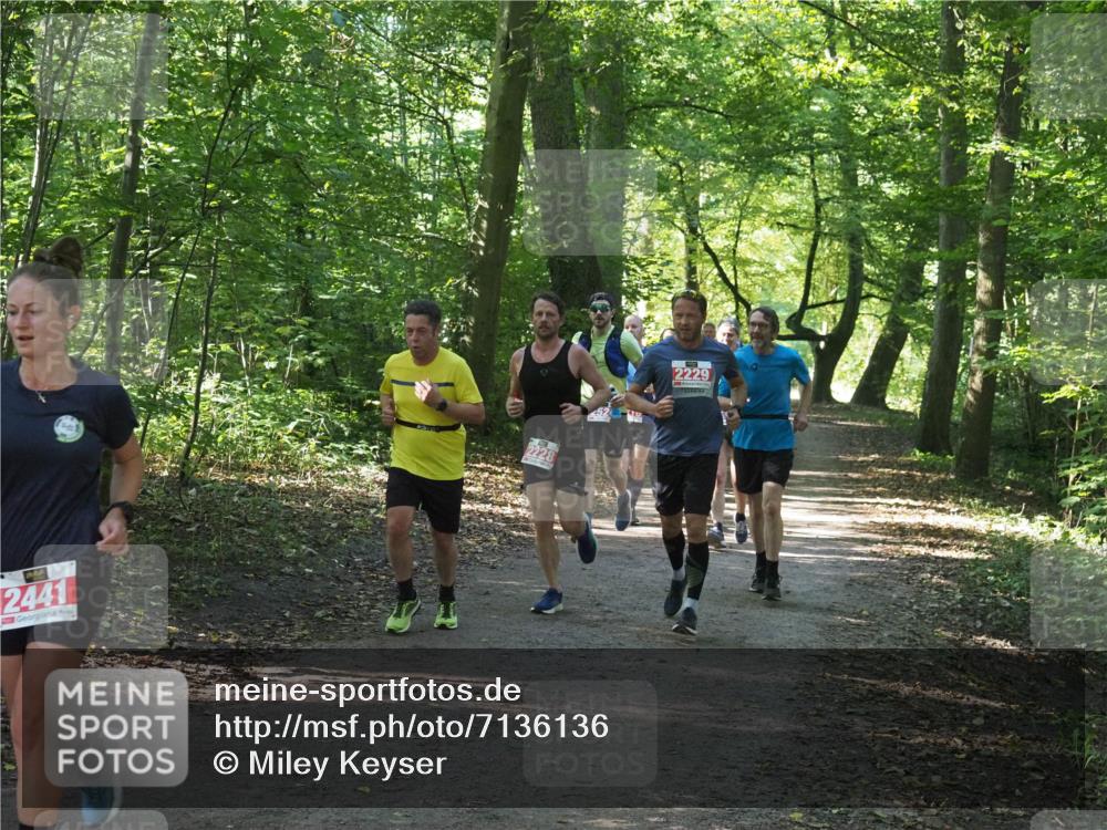 22.09.2024 - 32. Volkslauf durch das schöne Alstertal Miley Keyser http://msf.ph/oto/7136136 22.09.2024 10:42:19 Laufen 2441, 2228, 2229 meine-sportfotos.de