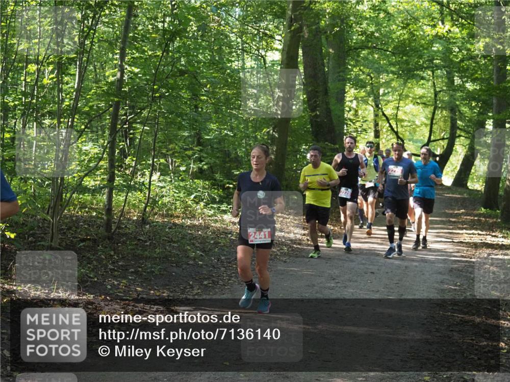 22.09.2024 - 32. Volkslauf durch das schöne Alstertal Miley Keyser http://msf.ph/oto/7136140 22.09.2024 10:42:18 Laufen 2441, 2228 meine-sportfotos.de