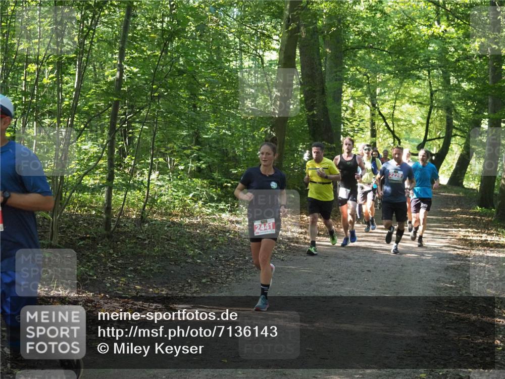 22.09.2024 - 32. Volkslauf durch das schöne Alstertal Miley Keyser http://msf.ph/oto/7136143 22.09.2024 10:42:18 Laufen 2441, 2229 meine-sportfotos.de