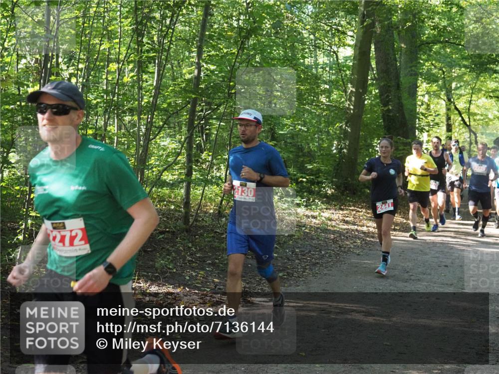 22.09.2024 - 32. Volkslauf durch das schöne Alstertal Miley Keyser http://msf.ph/oto/7136144 22.09.2024 10:42:17 Laufen 2130, 272, 2441 meine-sportfotos.de