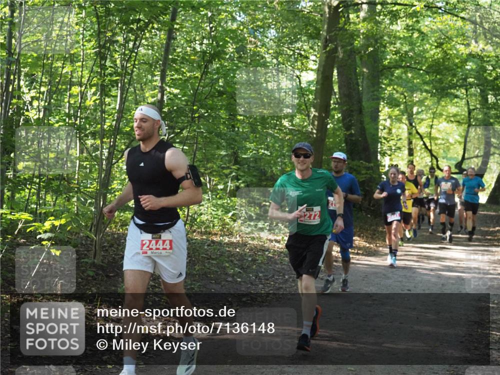 22.09.2024 - 32. Volkslauf durch das schöne Alstertal Miley Keyser http://msf.ph/oto/7136148 22.09.2024 10:42:16 Laufen 2444, 272 meine-sportfotos.de