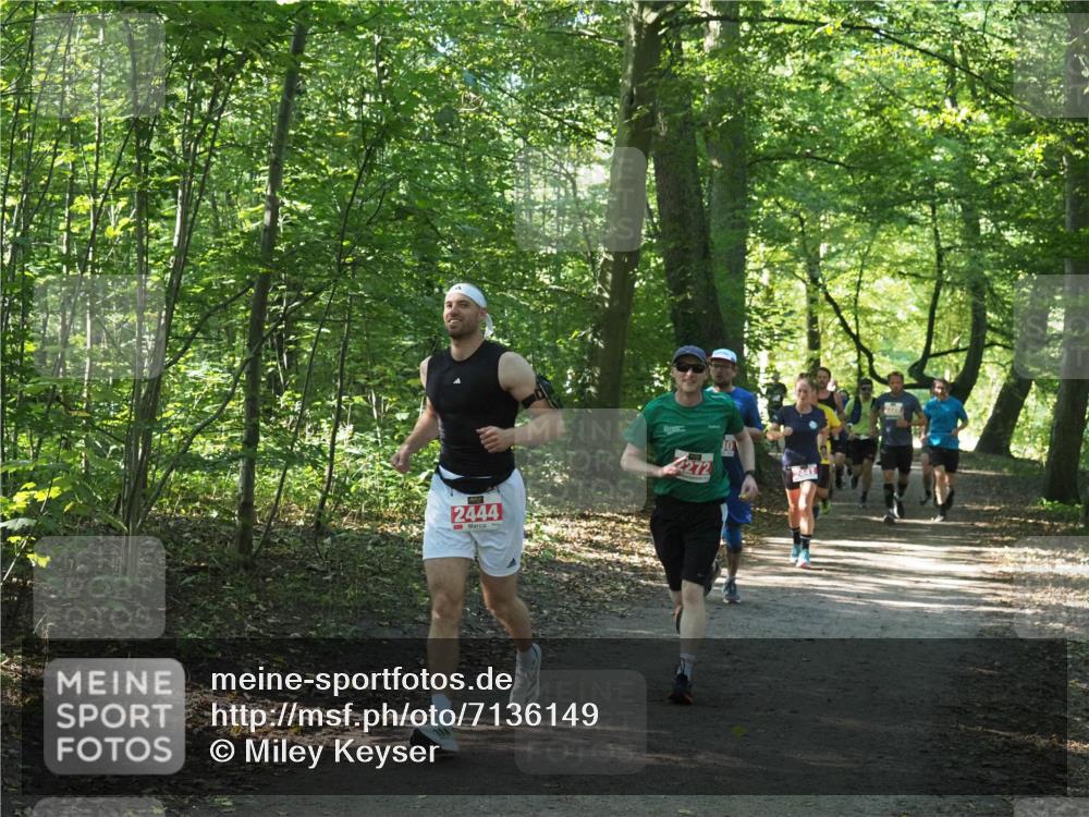 22.09.2024 - 32. Volkslauf durch das schöne Alstertal Miley Keyser http://msf.ph/oto/7136149 22.09.2024 10:42:15 Laufen 2444, 2272 meine-sportfotos.de