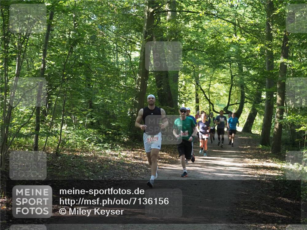 22.09.2024 - 32. Volkslauf durch das schöne Alstertal Miley Keyser http://msf.ph/oto/7136156 22.09.2024 10:42:14 Laufen 2444 meine-sportfotos.de