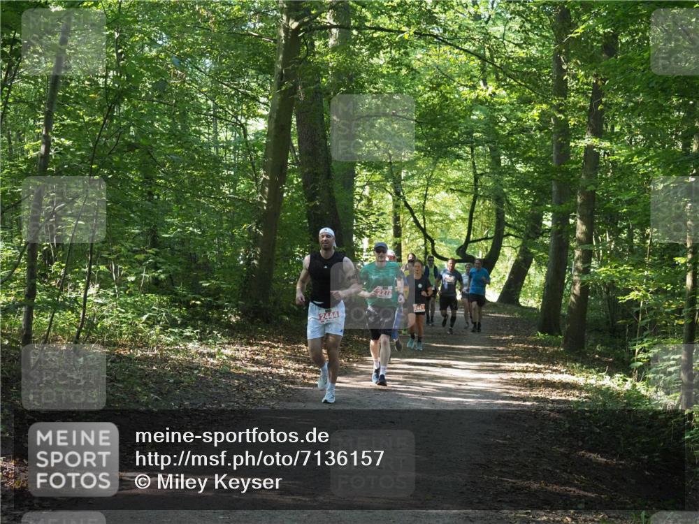 22.09.2024 - 32. Volkslauf durch das schöne Alstertal Miley Keyser http://msf.ph/oto/7136157 22.09.2024 10:42:13 Laufen 2444, 2272, 2441 meine-sportfotos.de