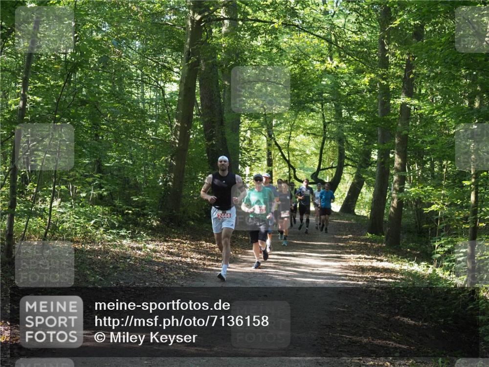 22.09.2024 - 32. Volkslauf durch das schöne Alstertal Miley Keyser http://msf.ph/oto/7136158 22.09.2024 10:42:13 Laufen 2444 meine-sportfotos.de