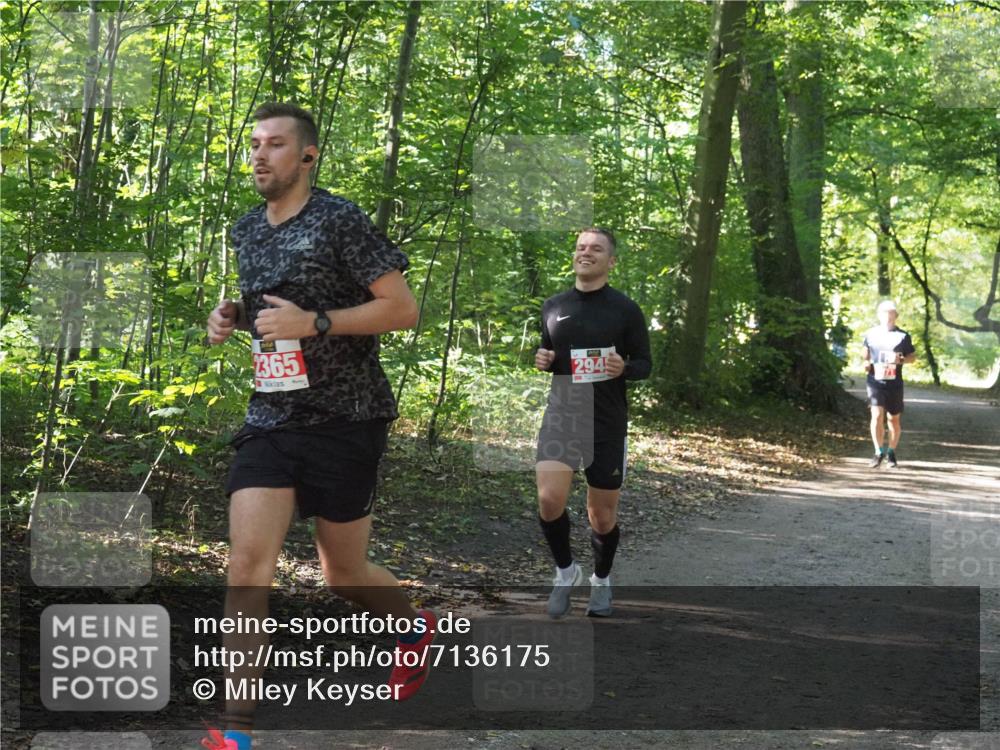 22.09.2024 - 32. Volkslauf durch das schöne Alstertal Miley Keyser http://msf.ph/oto/7136175 22.09.2024 10:42:01 Laufen 2365, 294 meine-sportfotos.de