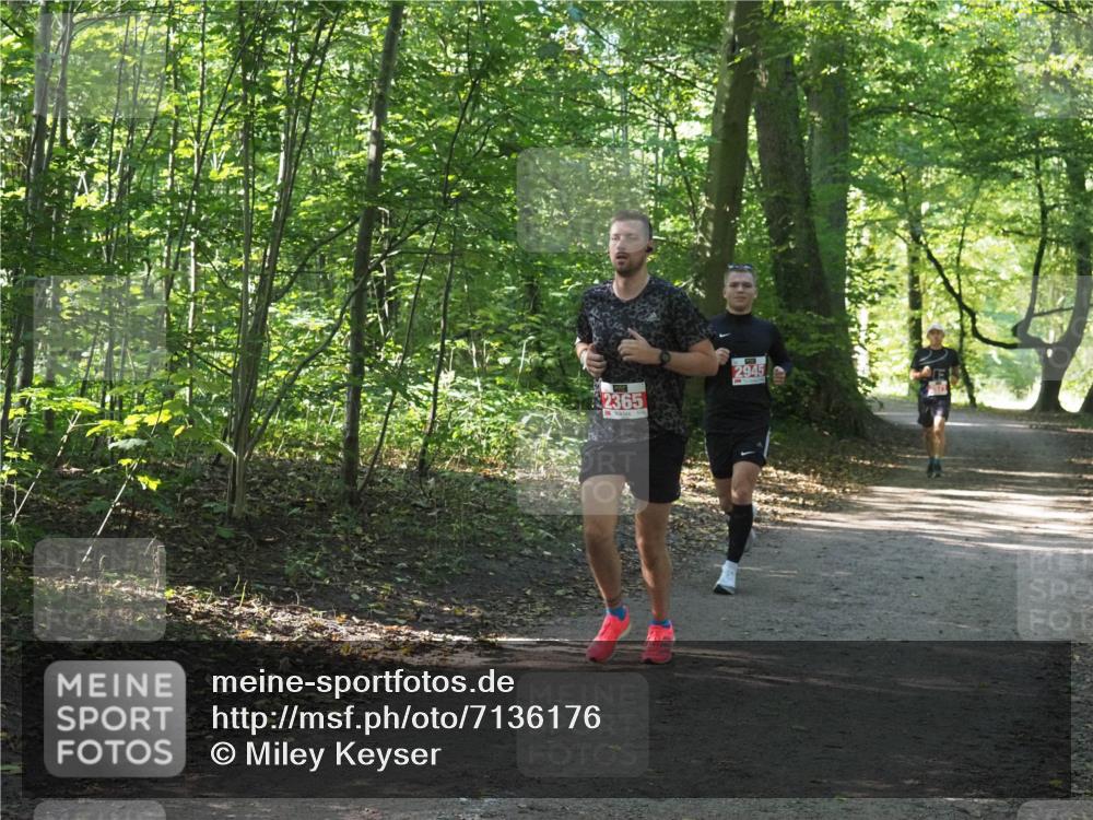 22.09.2024 - 32. Volkslauf durch das schöne Alstertal Miley Keyser http://msf.ph/oto/7136176 22.09.2024 10:42:00 Laufen 2365, 2945 meine-sportfotos.de