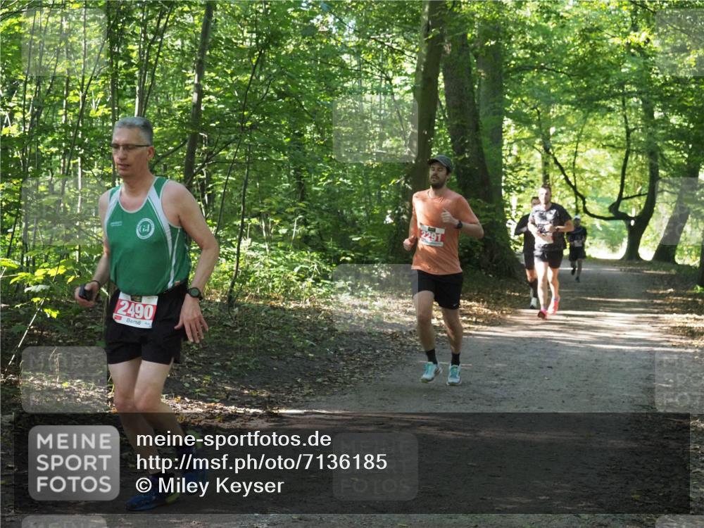 22.09.2024 - 32. Volkslauf durch das schöne Alstertal Miley Keyser http://msf.ph/oto/7136185 22.09.2024 10:41:57 Laufen 2490, 2291 meine-sportfotos.de