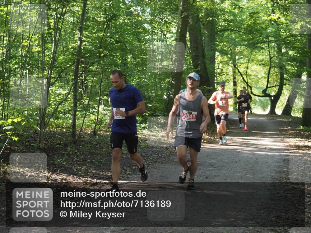 22.09.2024 - 32. Volkslauf durch das schöne Alstertal Miley Keyser http://msf.ph/oto/7136189 22.09.2024 10:41:55 Laufen 2041 meine-sportfotos.de
