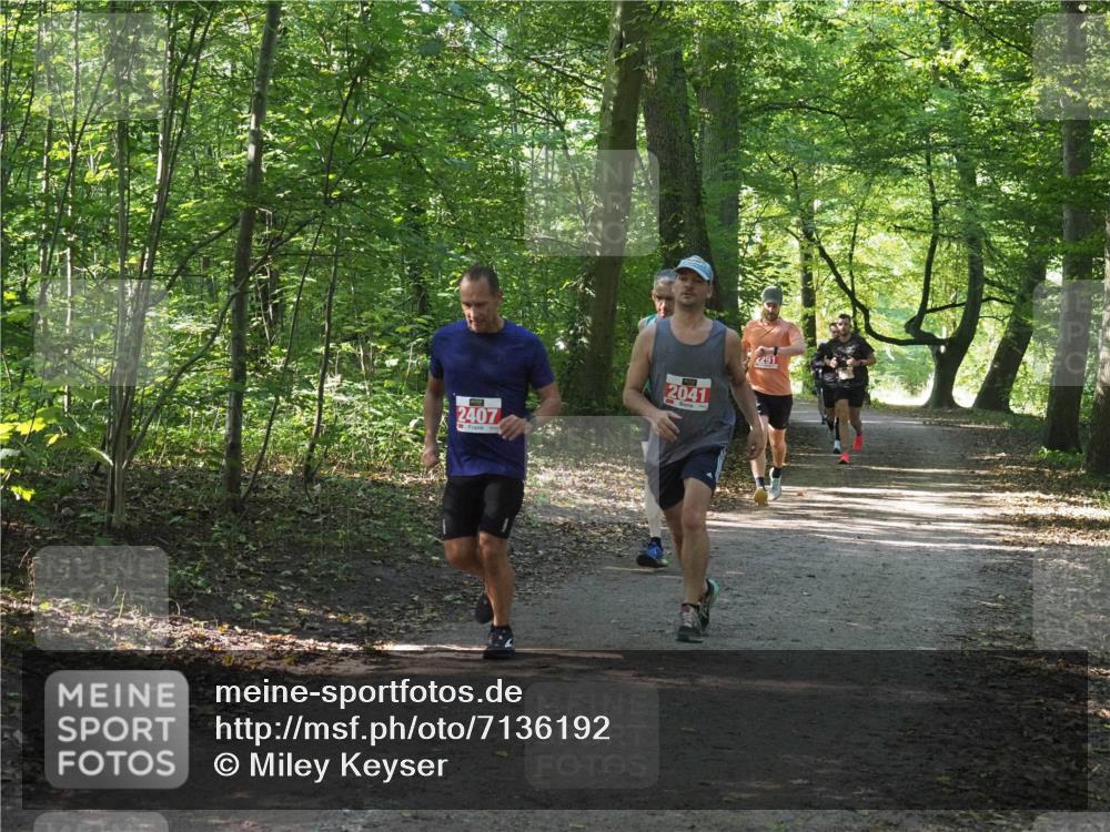 22.09.2024 - 32. Volkslauf durch das schöne Alstertal Miley Keyser http://msf.ph/oto/7136192 22.09.2024 10:41:55 Laufen 2407, 2041, 291 meine-sportfotos.de