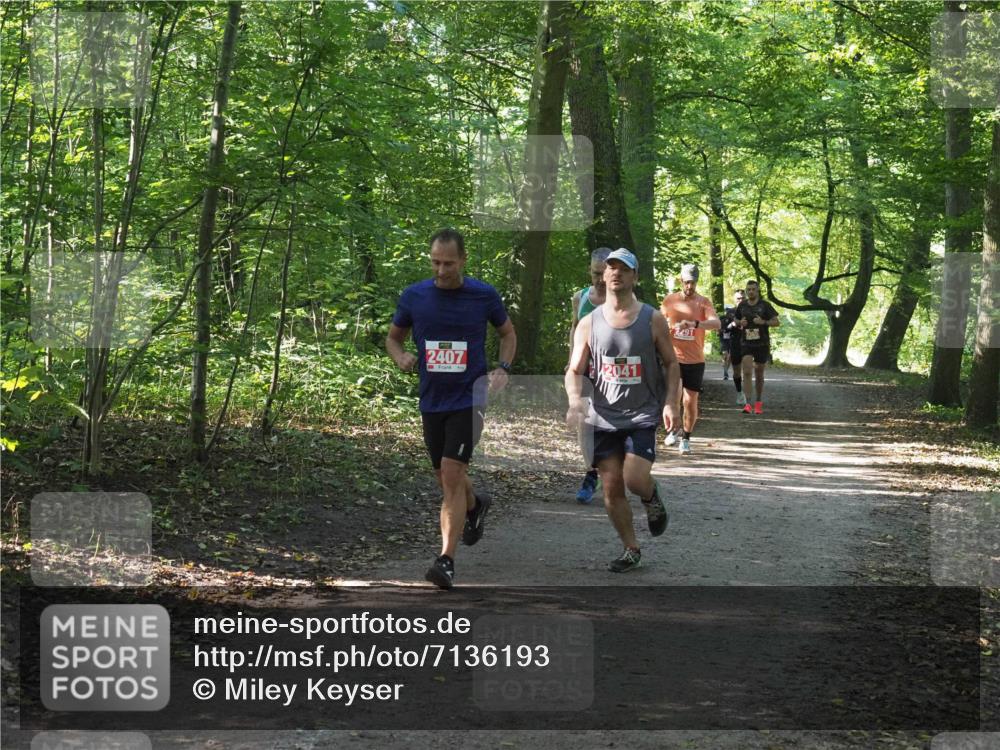 22.09.2024 - 32. Volkslauf durch das schöne Alstertal Miley Keyser http://msf.ph/oto/7136193 22.09.2024 10:41:55 Laufen 2407, 2041, 491 meine-sportfotos.de