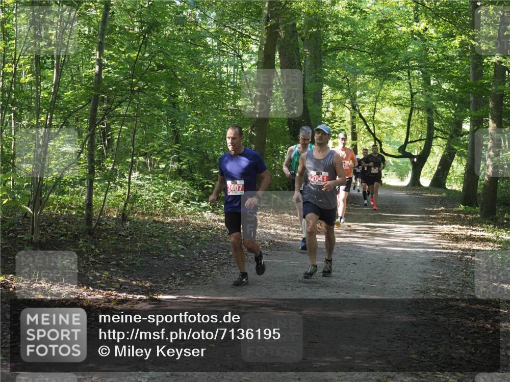 22.09.2024 - 32. Volkslauf durch das schöne Alstertal Miley Keyser http://msf.ph/oto/7136195 22.09.2024 10:41:55 Laufen 2407, 2041 meine-sportfotos.de