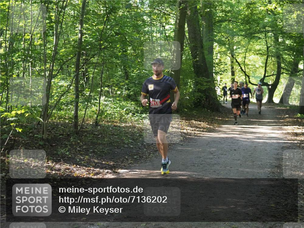 22.09.2024 - 32. Volkslauf durch das schöne Alstertal Miley Keyser http://msf.ph/oto/7136202 22.09.2024 10:41:49 Laufen 2418 meine-sportfotos.de