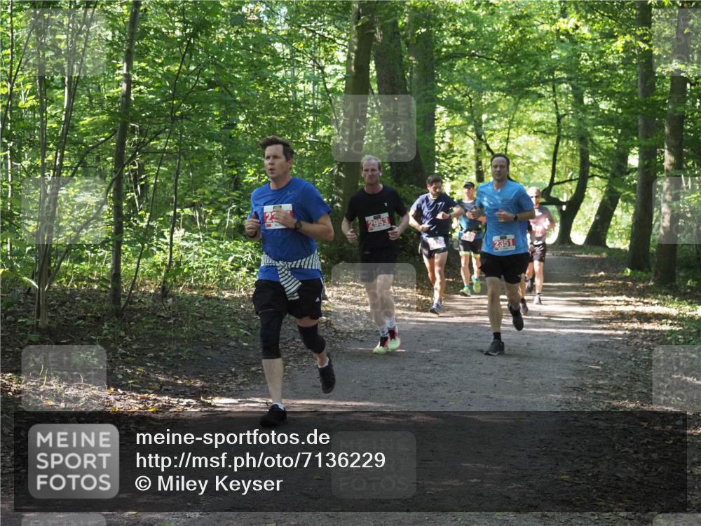 22.09.2024 - 32. Volkslauf durch das schöne Alstertal Miley Keyser http://msf.ph/oto/7136229 22.09.2024 10:41:40 Laufen 2953, 2351 meine-sportfotos.de