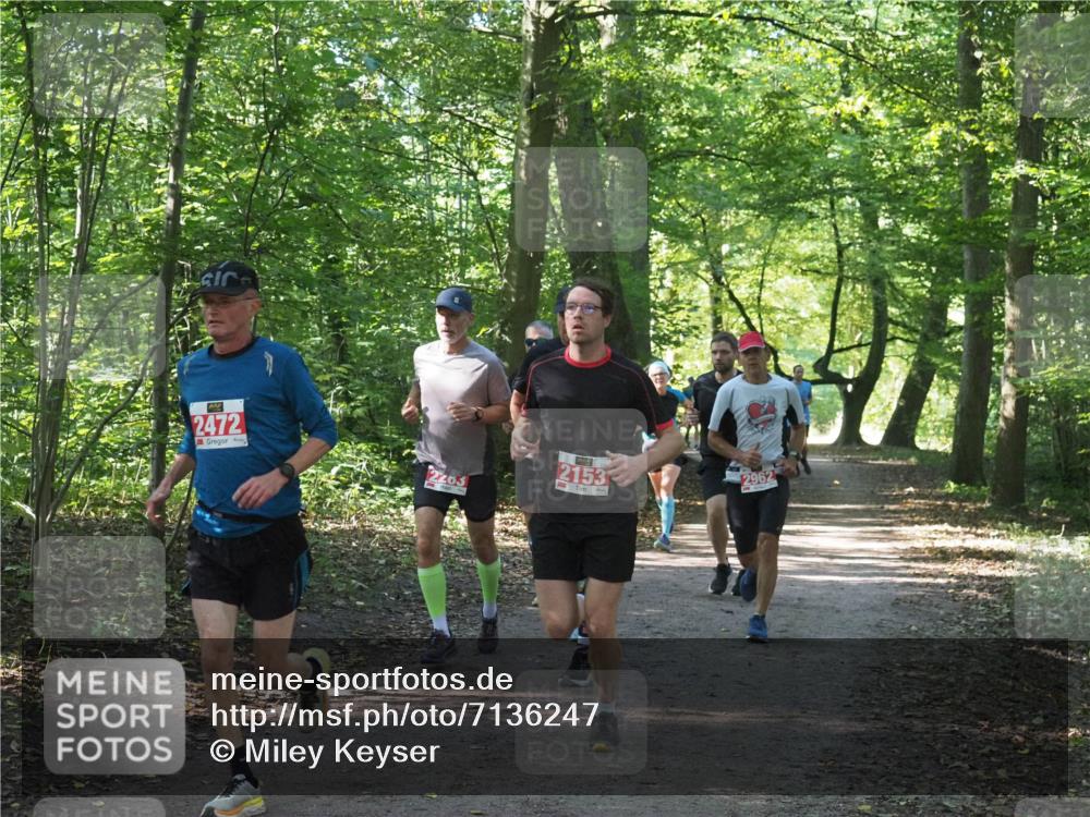 22.09.2024 - 32. Volkslauf durch das schöne Alstertal Miley Keyser http://msf.ph/oto/7136247 22.09.2024 10:41:33 Laufen 2472, 226, 2153, 2962 meine-sportfotos.de