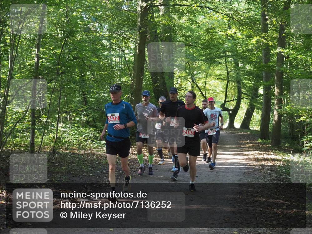 22.09.2024 - 32. Volkslauf durch das schöne Alstertal Miley Keyser http://msf.ph/oto/7136252 22.09.2024 10:41:33 Laufen 2472, 2153 meine-sportfotos.de