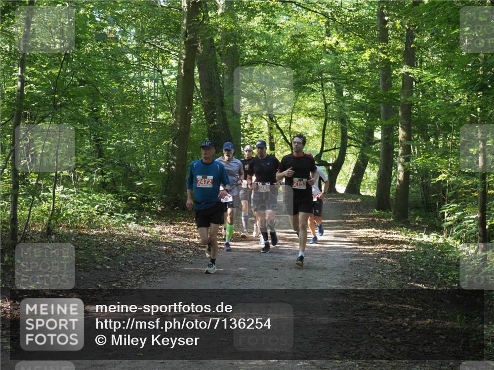 22.09.2024 - 32. Volkslauf durch das schöne Alstertal Miley Keyser http://msf.ph/oto/7136254 22.09.2024 10:41:32 Laufen 2472, 2153 meine-sportfotos.de