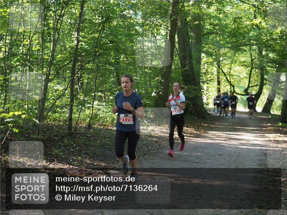 22.09.2024 - 32. Volkslauf durch das schöne Alstertal Miley Keyser http://msf.ph/oto/7136264 22.09.2024 10:41:25 Laufen 2179, 2123 meine-sportfotos.de