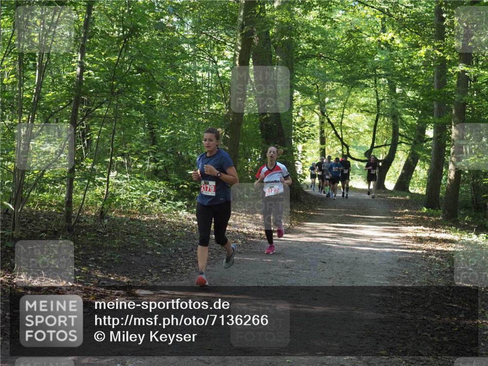 22.09.2024 - 32. Volkslauf durch das schöne Alstertal Miley Keyser http://msf.ph/oto/7136266 22.09.2024 10:41:24 Laufen 2179 meine-sportfotos.de