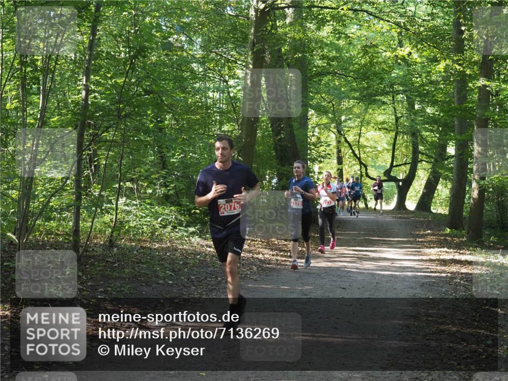 22.09.2024 - 32. Volkslauf durch das schöne Alstertal Miley Keyser http://msf.ph/oto/7136269 22.09.2024 10:41:23 Laufen 2076, 2179, 123 meine-sportfotos.de