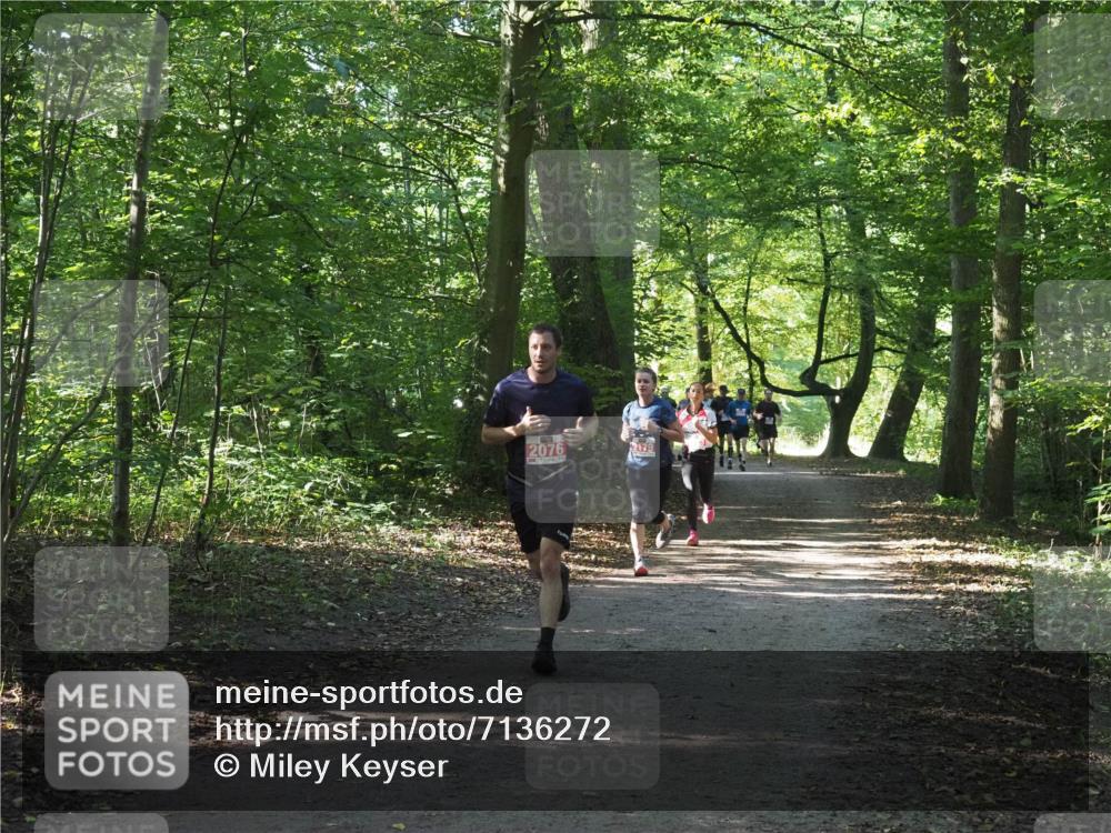 22.09.2024 - 32. Volkslauf durch das schöne Alstertal Miley Keyser http://msf.ph/oto/7136272 22.09.2024 10:41:22 Laufen 2076 meine-sportfotos.de