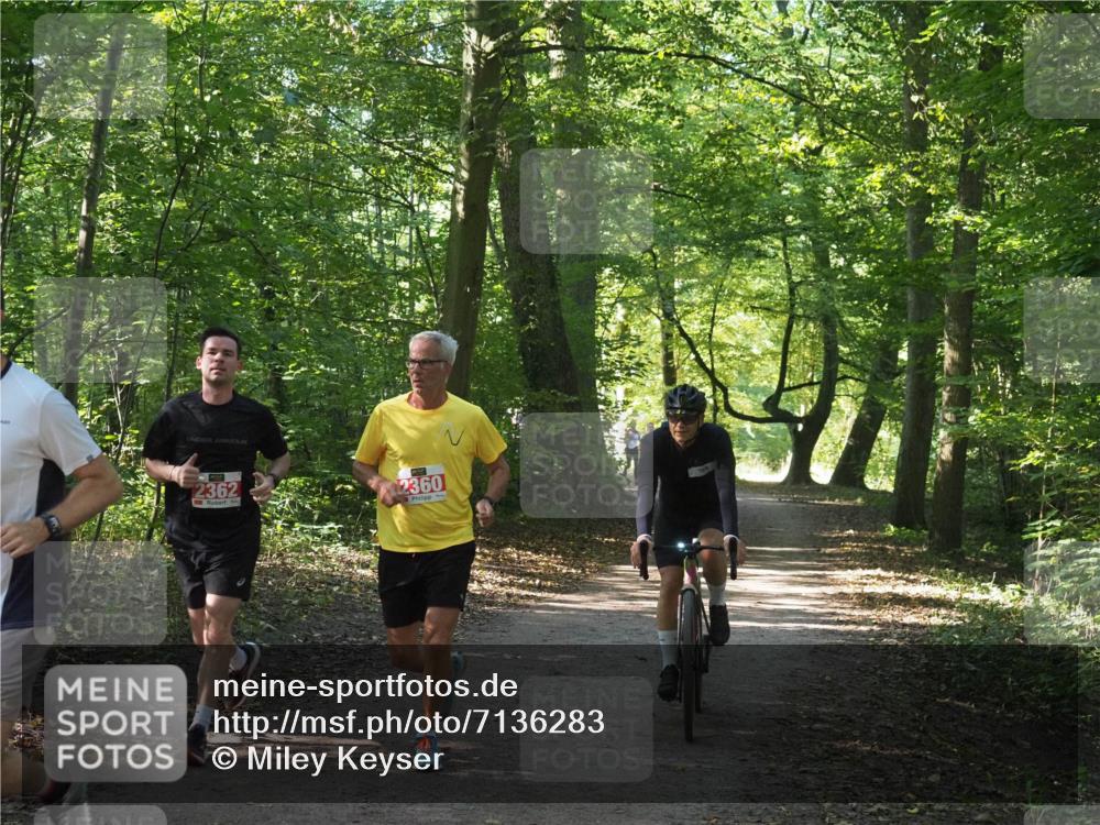 22.09.2024 - 32. Volkslauf durch das schöne Alstertal Miley Keyser http://msf.ph/oto/7136283 22.09.2024 10:41:13 Laufen 2362, 2360 meine-sportfotos.de