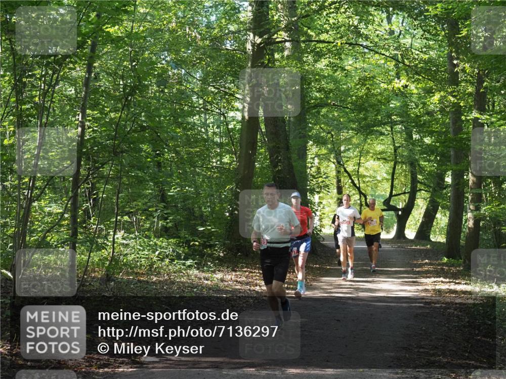 22.09.2024 - 32. Volkslauf durch das schöne Alstertal Miley Keyser http://msf.ph/oto/7136297 22.09.2024 10:41:08 Laufen 2360 meine-sportfotos.de