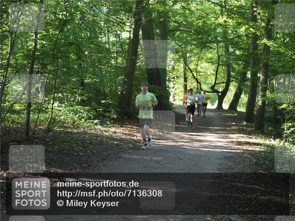 22.09.2024 - 32. Volkslauf durch das schöne Alstertal Miley Keyser http://msf.ph/oto/7136308 22.09.2024 10:41:04 Laufen 2389 meine-sportfotos.de