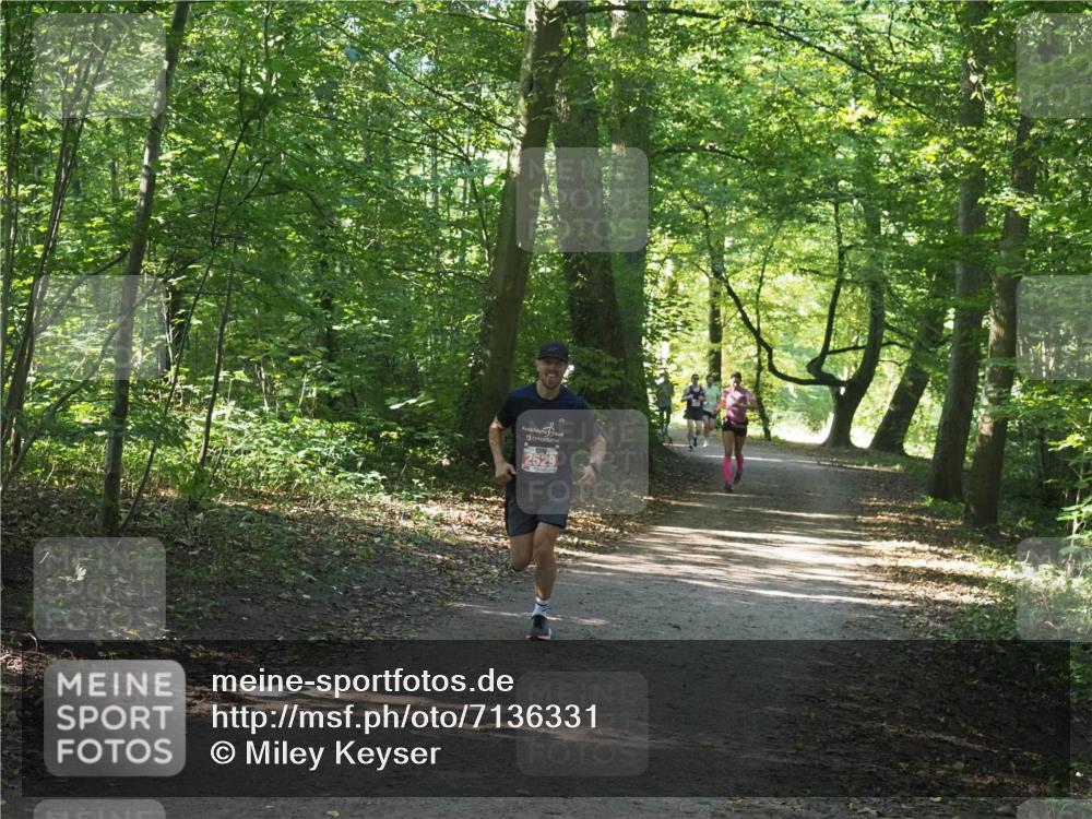 22.09.2024 - 32. Volkslauf durch das schöne Alstertal Miley Keyser http://msf.ph/oto/7136331 22.09.2024 10:40:50 Laufen 529 meine-sportfotos.de